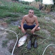 ���������� ���������, ���� ������� �������, 38 ���, ������������ ��� ����� � ���������, c�������� ���������