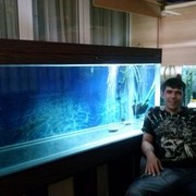 ���������� ��������, ���� ������� �������, 52 ����, ������������ ��� ������, ����� � ���������, c�������� ���������