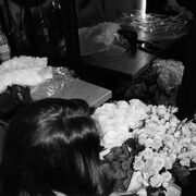 ���������� �����������, ��������