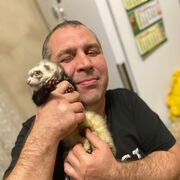 ���������� ������-��-����, ���� ������� �������, 44 ����, ������������ ��� ������, ����� � ���������