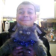 ���������� ��������, ���� ������� ������, 43 ����, ������������ ��� ������, ���������