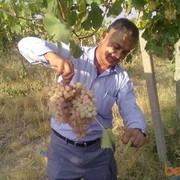  ,   Safar, 51 ,   