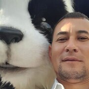 ���������� ����������, ���� ������� ����, 37 ���, ������������ ��� ������, ����� � ���������