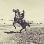 ���������� ������, ���� ������� �������, 35 ���, ������������ ��� ������, ����� � ���������