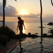 ���������� �������������, ���� ������� ������, 36 ���, ������������ ��� ������, ����� � ���������, c�������� ���������