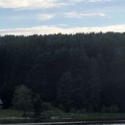 ���������� ������������, ���� ������� �������, 42 ����, ������������ ��� c�������� ���������