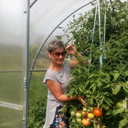 ���������� ������, ���� ������� ������, 57 ���, ������������ ��� ������, ����� � ���������, c�������� ���������