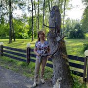 ���������� �������, ���� ������� ����, 55 ���, ������������ ��� ������, ����� � ���������, c�������� ���������, ���������