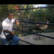  ,   , 52 ,     