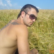 ���������� �����, ���� ������� TIGER, 39 ���, ������������ ��� ����� � ���������, c�������� ���������