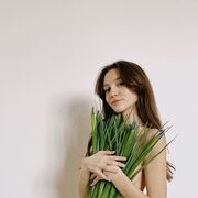  ,   , 24 ,   ,   , 