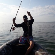  ,   Vektorr, 41 ,  