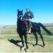  ,   Kaisar, 34 ,     , c 