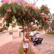  ,   , 55 ,   ,   