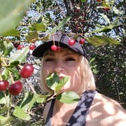  ,   , 50 ,   ,   , 