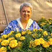  ,   , 59 ,   ,   