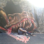 ���������� �������, ���� ������� ��������, 52 ����, ������������ ��� ������, ����� � ���������, c�������� ���������