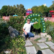 ���������� ������ ��������, ���� ������� �����, 38 ���, ������������ ��� ������, ����� � ���������, c�������� ���������