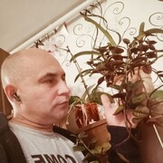  ,  , 42
