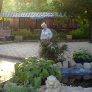 ���������� ������, ���� ������� ����, 59 ���, ������������ ��� ������, ����� � ���������, c�������� ���������, ���������