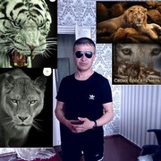 ���������� ���������, ���� ������� �����, 37 ���, ������������ ��� ������, ����� � ���������, c�������� ���������