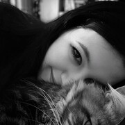 ���������� �������, ������