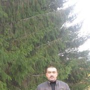  ,   Tolik, 54 ,     , c 