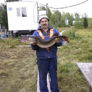  ,   , 62 ,   