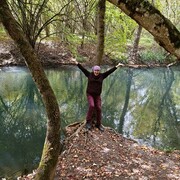 ���������� �����������, ���� ������� �������, 50 ���, ������������ ��� c�������� ���������