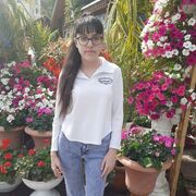 ���������� �����������, ������