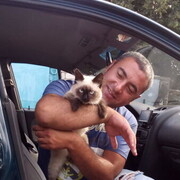 ���������� ������, ���� ������� ������, 42 ����, ������������ ��� ����� � ���������, c�������� ���������, ���������