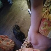  ,   , 34 ,   ,   