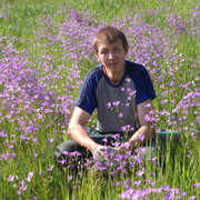 ���������� ��������, ���� ������� ������, 43 ����, ������������ ��� ����� � ���������, c�������� ���������