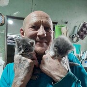 ���������� �����-���������, ���� ������� �������, 55 ���, ������������ ��� ������