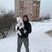 ���������� �����, ���� ������� ������, 40 ���, ������������ ��� ������, ����� � ���������