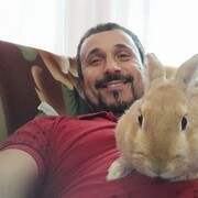  ,   , 44 ,   c 