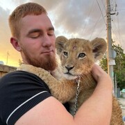 ���������� �����������, ���� ����� Malik, 25 ���, ������������ ��� ������, ����� � ���������