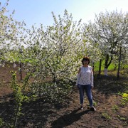 ���������� �����, ���� ������� ��������, 61 ���, ������������ 