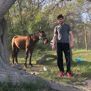  ,   , 31 ,   ,   