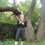  ,   , 32 ,   
