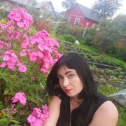 ���������� �����������, ���� ������� ����������, 40 ���, ������������ ��� c�������� ���������