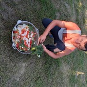 ���������� �����, ���� ������� �����, 36 ���, ������������ ��� ������, ����� � ���������, c�������� ���������