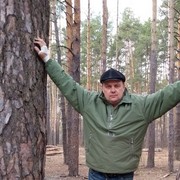  ,   , 53 ,  