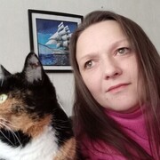  ,  , 43