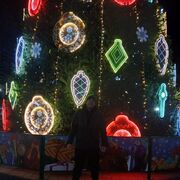 ���������� ������, ���� ������� �������, 41 ���, ������������ ��� ������, ����� � ���������