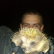 ���������� ��������������, ���� ������� Dimonchik, 27 ���, ������������ ��� ������, ����� � ���������, c�������� ���������