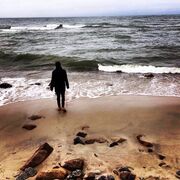 ���������� �������, ���� ������� ������, 31 ���, ������������ ��� ������, ����� � ���������, c�������� ���������, ���������