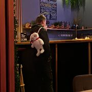  ,   , 20 ,   ,   , c , 