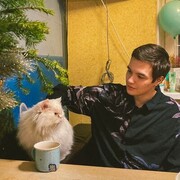 ���������� ������, ���� ������� ����, 26 ���, ������������ ��� ������, ����� � ���������