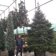  ,   Zzzzz, 45 ,   ,   